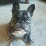 Annieomo