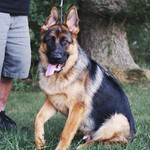 ruthakersteach