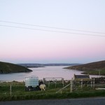 b_nicolson