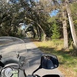 TreeMB