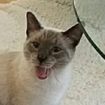 Reaaaa