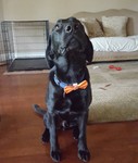 Allie47njd