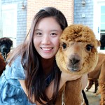 sunminwen198903